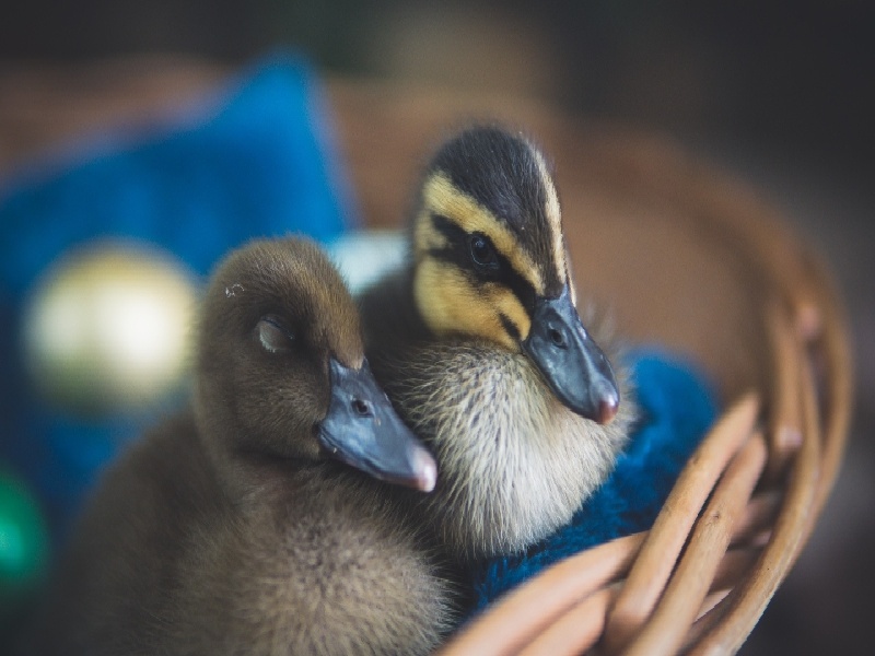 试管移植血液条件，济南不孕不育价格费用